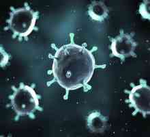 Kako razlikovati trovanje rotavirus? simptomi bolesti