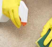 Kako čistiti tepih kod kuće? Vrlo jednostavno!