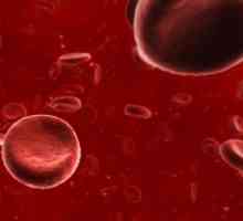 Kako podići hemoglobina: hrana, ljudi, droge