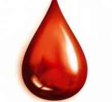 Kako je krvna grupa. Najčešći tip krvi u svijetu