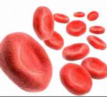Kako povećati hemoglobina u krvi