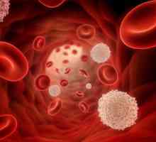 Kako povećati zgrušavanje krvi?