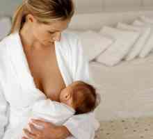 Kako nahraniti svoju bebu majčino mlijeko? Savjeti za mlade majke