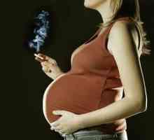 Kao i tokom trudnoće prestati pušiti? Da li je moguće da puše za vrijeme trudnoće?