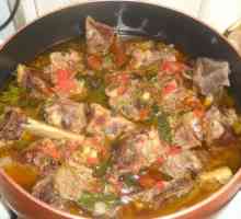 Kako kuhati Khashlama? Armenski khashlama - recepti, fotografije