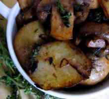 Kako kuhati krompir sa šampinjonima u tiganju: jednostavan recept