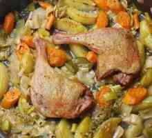 Kako kuhati patka u multivarka: korak po korak recept