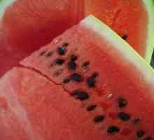 Kako se prijaviti lubenice sjemena? Prednosti i recepti iz sjemena