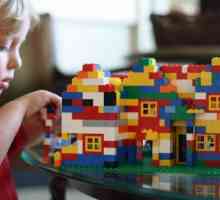 Kako napraviti "Lego" zgrada: a detaljno uputstvo. Kako izgraditi kuću iz "Lego"