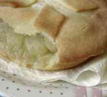 Kako napraviti pitu od jabuka kod kuće? Kako napraviti pitu od jabuka tijesto?