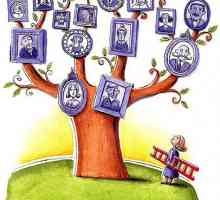 Kako napraviti obiteljsko stablo. Korak po korak vodič