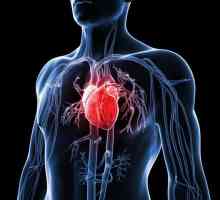 Kako ojačati vaše srce? Savjeti kardiolog i tri glavna koraka za zdravo srce
