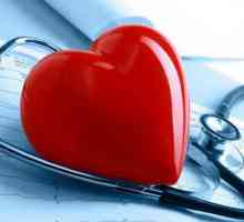 Kako ojačati srčani mišić: vježbe, lijekovi, hrana