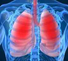 Kako su lagani i kako je proces disanja?