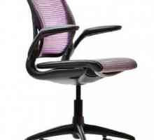 Kako odabrati kancelarijske stolice? Savjeti i mišljenja o proizvođačima