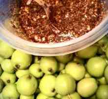 Kako se pripremiti za zimu kiseli jabuke sa raženog brašna i drugih recepata
