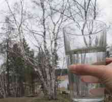 Kako biste zatvorili breze sok od limuna na zimskim