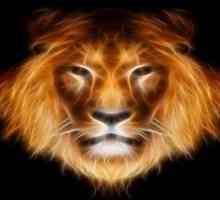 Kako osvojiti lav lav? Horoskop: ženski lav i mužjak lava
