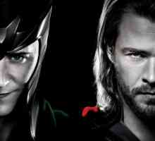 Kako se zvao torusa brata? Ko je varalica Loki?