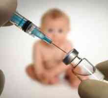 Ono što je potrebno dijete cijepljenja u godini?