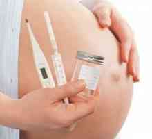 Koje testove dodavanje tokom trudnoće