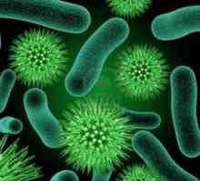 Koji bakterije patogene? Bakterije i ljudi