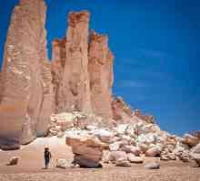 Ono što znamo geografske karakteristike koji su doprinijeli formiranju pustinji Atacama?