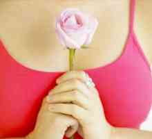 Koji je glavni simptom raka dojke ne može propustiti?