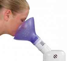 Šta inhalator bolji komentari i preporuke