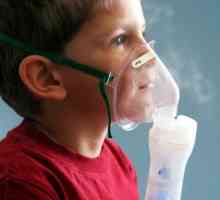 Ono što je najbolje kupiti inhalator za doma?