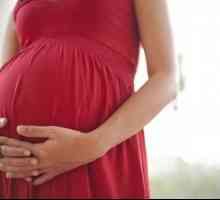 Ono što je normalna težina fetusa na 32 tjedana trudnoće