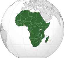 Kolika je površina Afrike? Najveći dio Afrike države