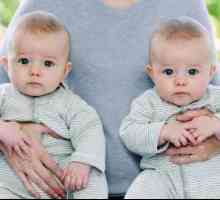 Kolika je vjerojatnost višestrukih poroda? Iz onoga što ovisi o rođenju blizanaca?