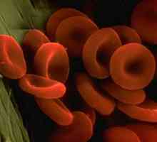 Koja je uloga u organizmu arterijske krvi?