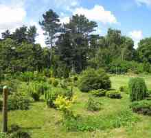 Kalinjingrad botanički vrt u radu, fotografije, službena web stranica i kako da biste dobili