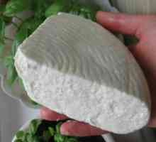 Kalorija Adygei sir i njegova upotreba u ishrani