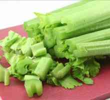 Kalorija celer, njen sastav i svojstva