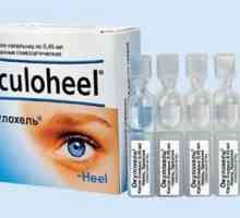 Kapi za oči "Okulohel": instrukcije, indikacije za upotrebu i analozi