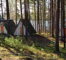 Kamp u regiji Lenjingradu u krilu prirode