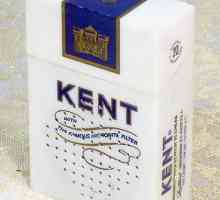 Kent - cigarete sa velikim budućnost