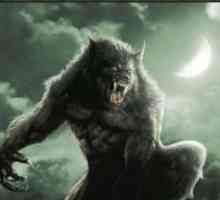 Film o vukovima više o predatora, ali Werewolf
