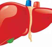 Ciste jetre: uzroci, simptomi, liječenje