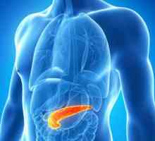 Pankreasa ciste: Simptomi i tretman, gdje i kako boli