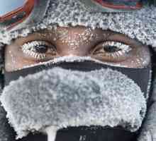 Kada se dan slavi polarni istraživač na ruskom?