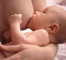 Kada se mlijeko dolazi nakon rođenja? njegove karakteristike