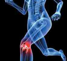 Zgloba koljena. Ligamenta ruptura: obim oštećenja i tretmana