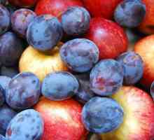 Kompot od šljiva i jabuka za zimu: jednostavne recepte