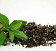 Ko je kontraindiciran u zelenom čaju? Zeleni čaj: koristi i štete