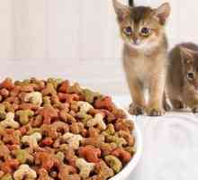 Stočnu hranu za premium mačka. rejting feed
