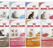 Hrana za mačke "Royal Canin": sastav i recenzije